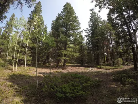 7 Hawk Way, Black Hawk, CO 80422 photo 1