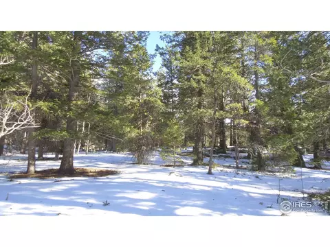 7 Hawk Way, Black Hawk, CO 80422 photo 11