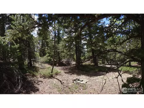 7 Hawk Way, Black Hawk, CO 80422 photo 5