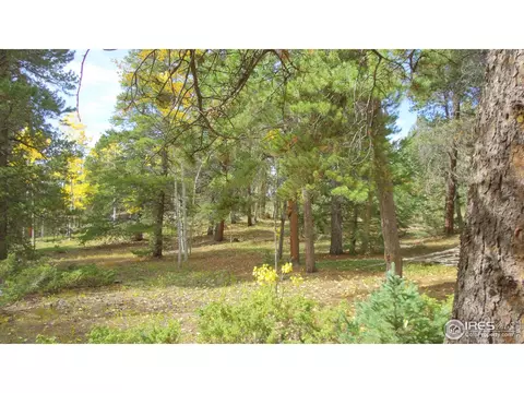 7 Hawk Way, Black Hawk, CO 80422 photo 9