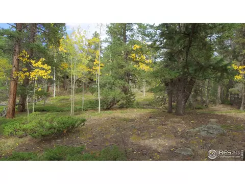 7 Hawk Way, Black Hawk, CO 80422 photo 4