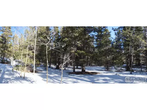 7 Hawk Way, Black Hawk, CO 80422 photo 8