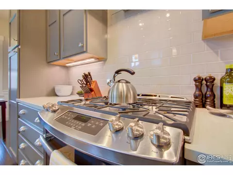 6398 Pumpkin Ridge Dr #4, Windsor, CO 80550 photo 14