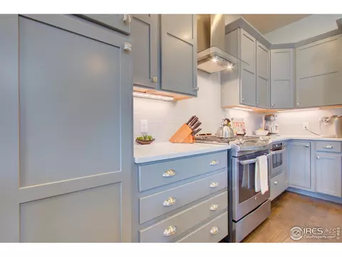6398 Pumpkin Ridge Dr #4, Windsor, CO 80550 photo 13