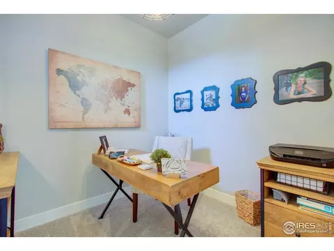 6398 Pumpkin Ridge Dr #4, Windsor, CO 80550 photo 29
