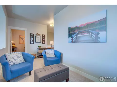 6398 Pumpkin Ridge Dr #4, Windsor, CO 80550 photo 27