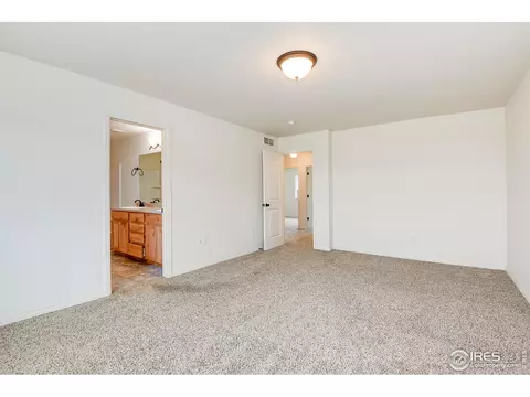 838 Sunlight Peak Dr, Windsor, CO 80550 photo 23