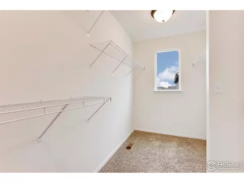 838 Sunlight Peak Dr, Windsor, CO 80550 photo 21