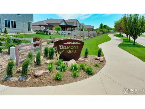 5201 Hialeah Dr, Windsor, CO 80550 photo 38