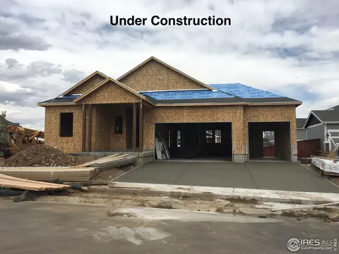 2161 First Light Ct, Windsor, CO 80550 photo 2