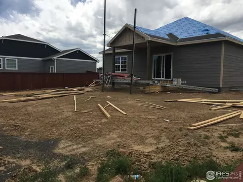 2161 First Light Ct, Windsor, CO 80550 photo 3
