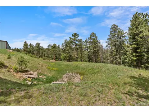 11040 Kitty Dr, Conifer, CO 80433 photo 4