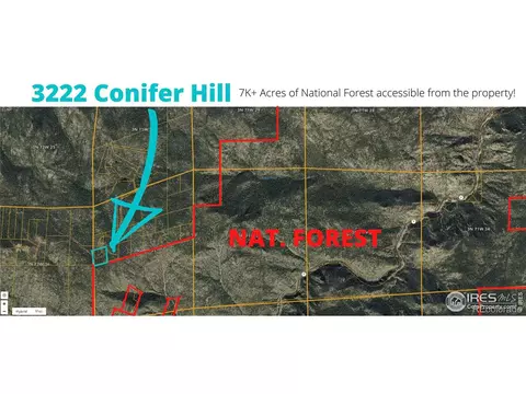 3222 Conifer Hill Rd, Lyons, CO 80540 photo 11