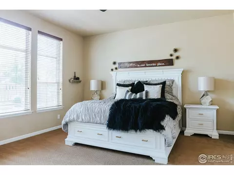 5378 Brookline Dr, Timnath, CO 80547 photo 15