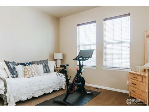5378 Brookline Dr, Timnath, CO 80547 photo 27