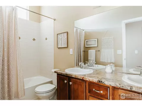 5378 Brookline Dr, Timnath, CO 80547 photo 26