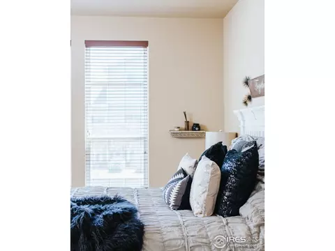 5378 Brookline Dr, Timnath, CO 80547 photo 19