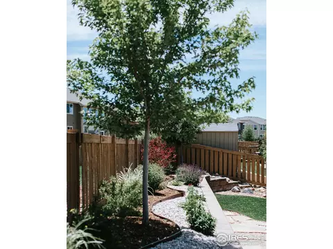 5378 Brookline Dr, Timnath, CO 80547 photo 33