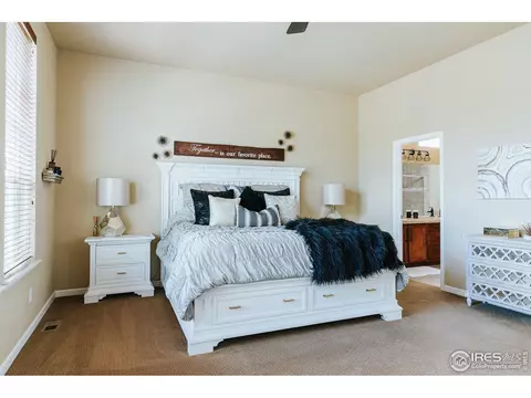 5378 Brookline Dr, Timnath, CO 80547 photo 18