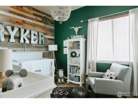 5378 Brookline Dr, Timnath, CO 80547 photo 25