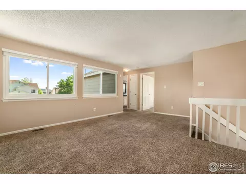 5125 E 117th Dr, Thornton, CO 80233 photo 23