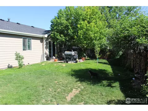 706 Cornerstone Dr, Windsor, CO 80550 photo 13