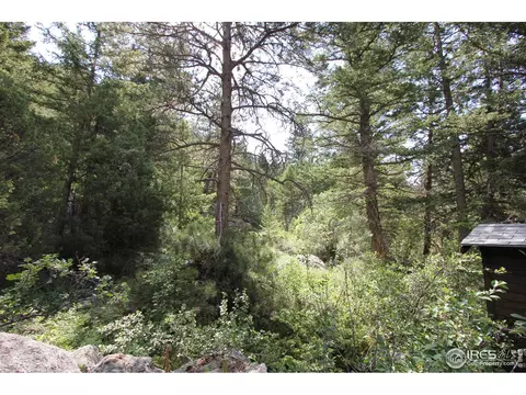 9041 E Highway 36, Lyons, CO 80540 photo 19