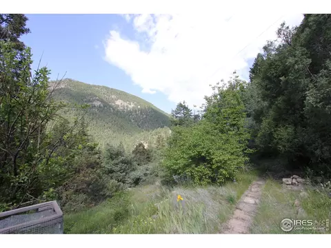 9041 E Highway 36, Lyons, CO 80540 photo 4
