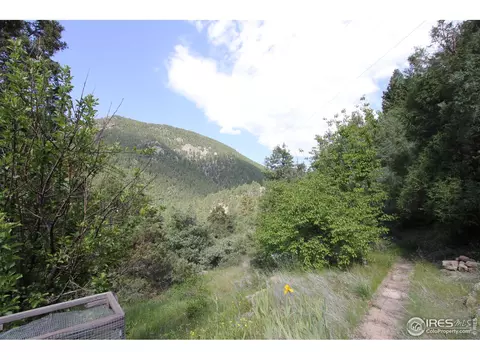 9041 E Highway 36, Lyons, CO 80540 photo 3