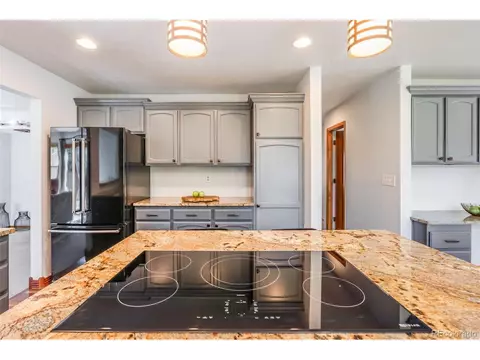 16883 E Prentice Cir, Centennial, CO 80015 photo 11