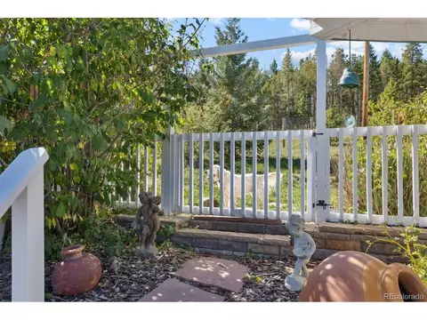 9981 Apache Spring Dr, Conifer, CO 80433 photo 37