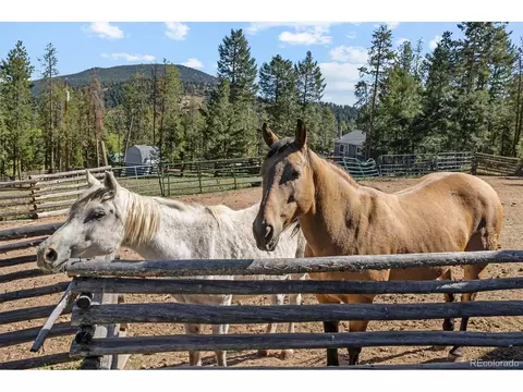 9981 Apache Spring Dr, Conifer, CO 80433 photo 36