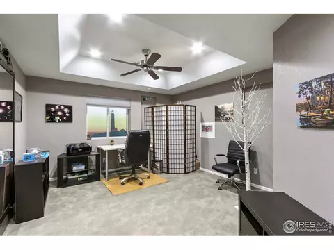 2046 Seahawk Ct, Windsor, CO 80550 photo 34