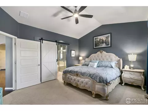 2046 Seahawk Ct, Windsor, CO 80550 photo 18