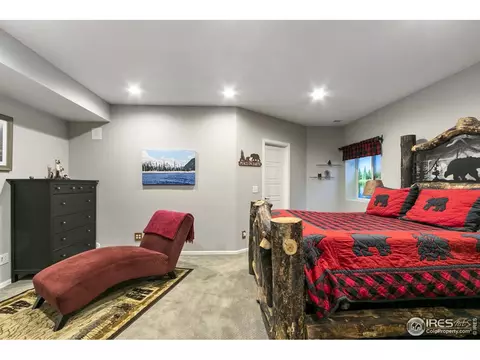 2046 Seahawk Ct, Windsor, CO 80550 photo 36