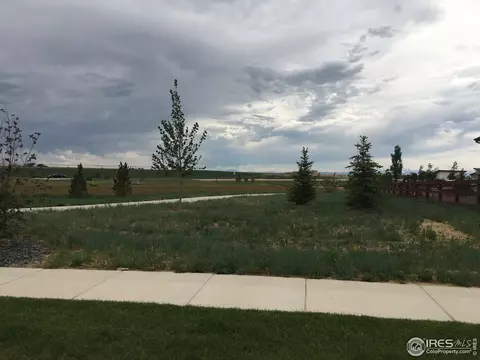 2173 Day Spring Dr, Windsor, CO 80550 photo 2