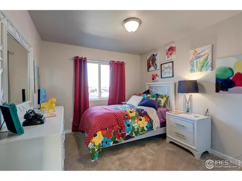 4942 Romney Lock Dr, Windsor, CO 80550 photo 34