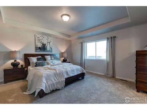 4942 Romney Lock Dr, Windsor, CO 80550 photo 21