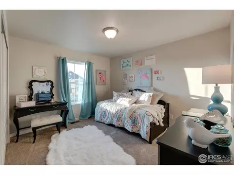 4942 Romney Lock Dr, Windsor, CO 80550 photo 28