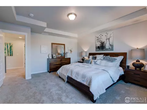 4942 Romney Lock Dr, Windsor, CO 80550 photo 23