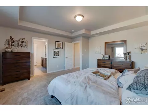 4942 Romney Lock Dr, Windsor, CO 80550 photo 22