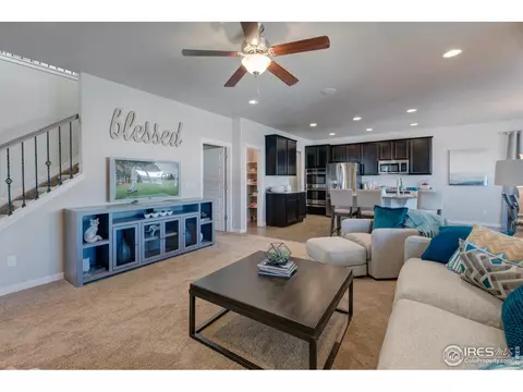 4942 Romney Lock Dr, Windsor, CO 80550 photo 13