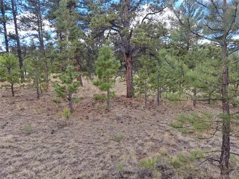 311 Haystack Rd, Hartsel, CO 80449 photo 9