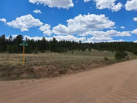 311 Haystack Rd, Hartsel, CO 80449 photo 7