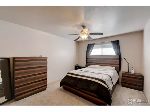 767 2nd St, Windsor, CO 80550 photo 16