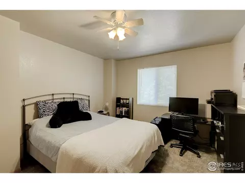 767 2nd St, Windsor, CO 80550 photo 13