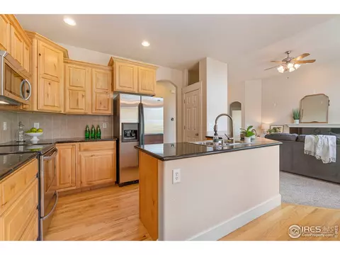 7002 Aladar Dr, Windsor, CO 80550 photo 10