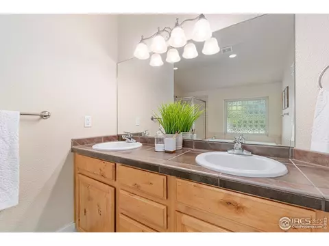 7002 Aladar Dr, Windsor, CO 80550 photo 19