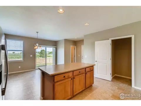 579 Edenbridge Dr, Windsor, CO 80550 photo 10