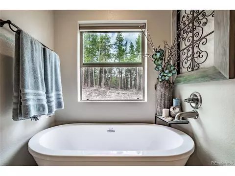 305 Pickle Pt, Black Hawk, CO 80422 photo 20